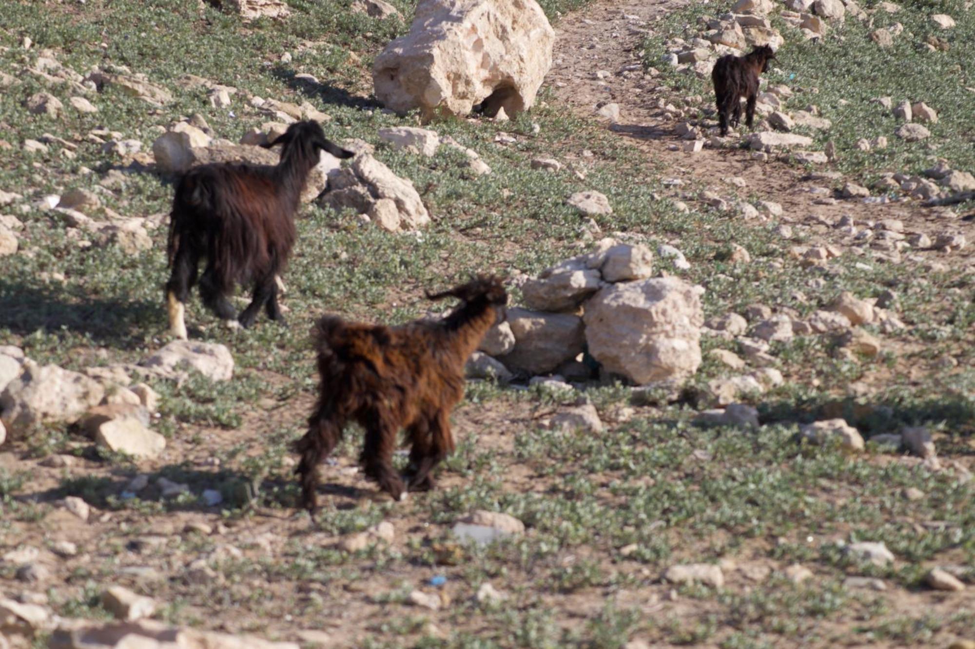 Отель Sidi Kaouki Perla Экстерьер фото